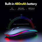 HP W10 Wireless Mouse - Slim Silent Stylish 2.4GHz Wireless Optical Mouse With Ergonomic Design Plug And Play USB Receiver For Laptop PC (Random Color)